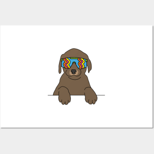 Chocolate Labrador puppy Dog wearing 80's skiing sunglasses Posters and Art